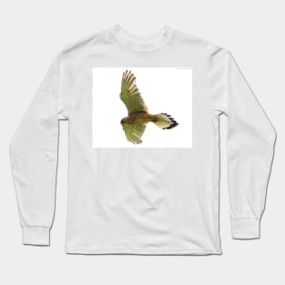 Kestrel in flight Long Sleeve T-Shirt